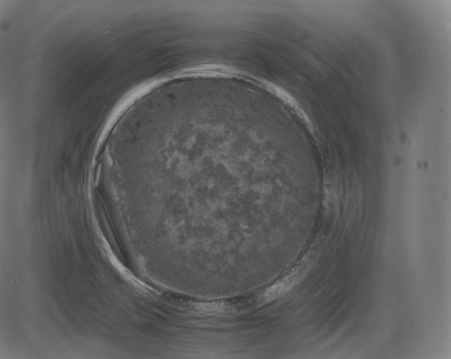 X0000085271421200703091340