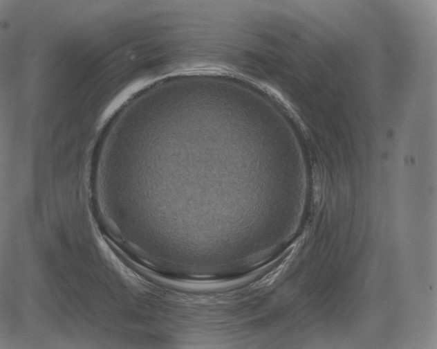 X0000085271422200703091340