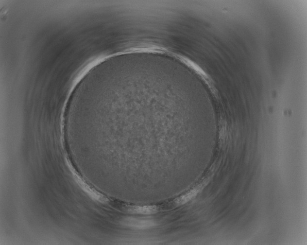 X0000085271423200703091340