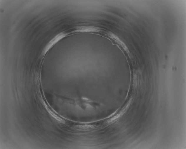 X0000085271425200703091340