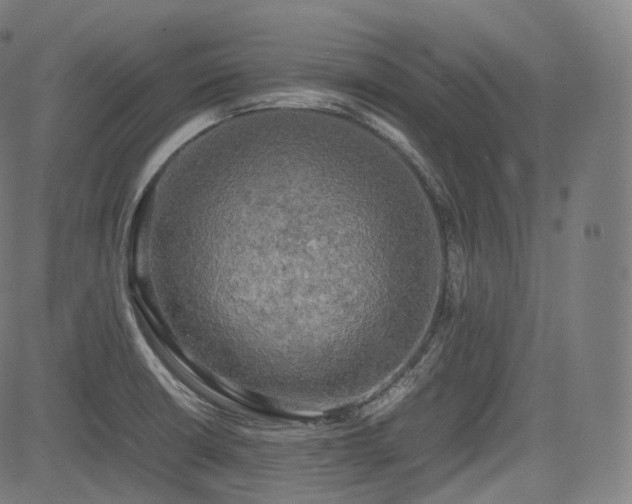 X0000085271426200703091340