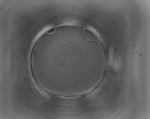 X0000085271427200703091340