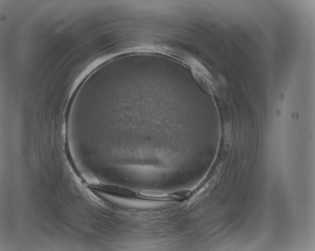 X0000085271428200703091340