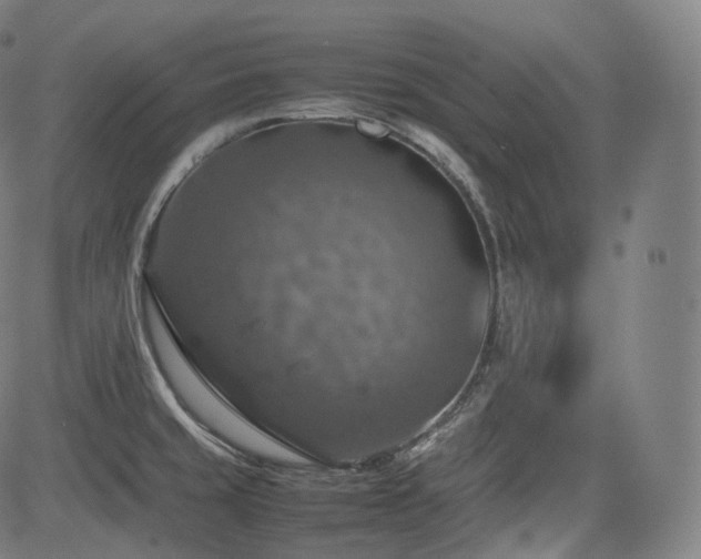 X0000085271429200703091340