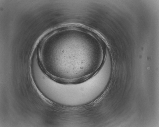 X0000085271430200703091340