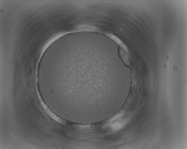 X0000085271431200703091340