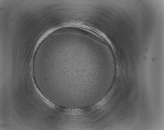 X0000085271432200703091340