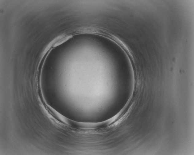 X0000085271434200703091340