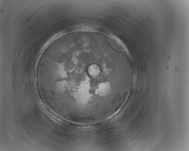 X0000085271435200703091340