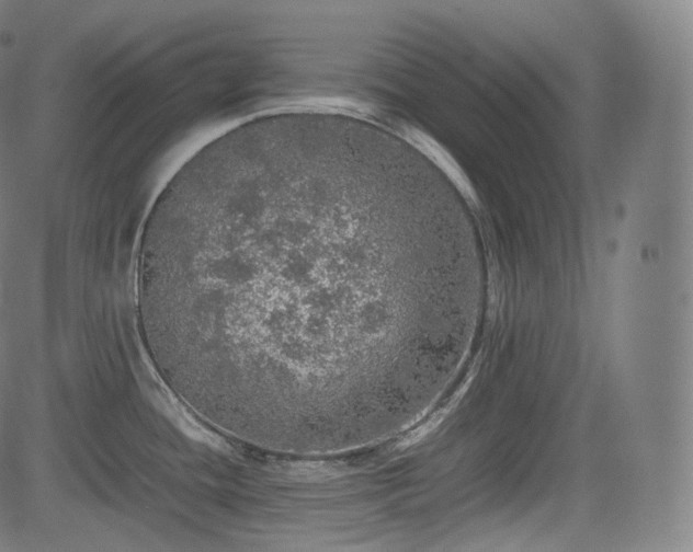 X0000085271436200703091340