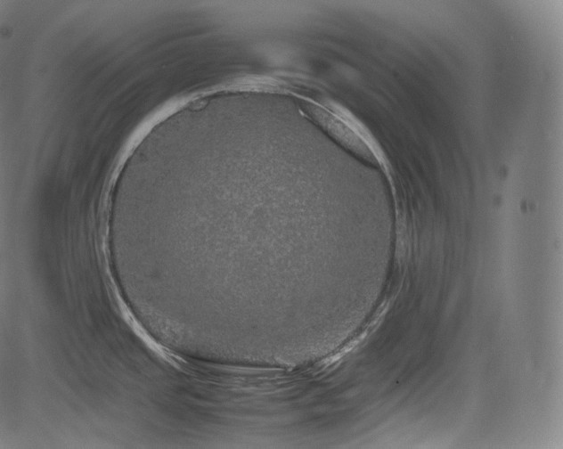 X0000085271437200703091341