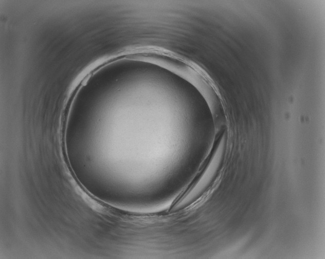 X0000085271438200703091341