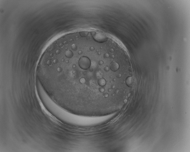 X0000085271439200703091341