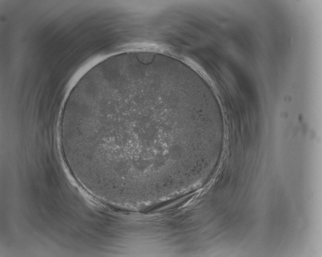 X0000085271440200703091341