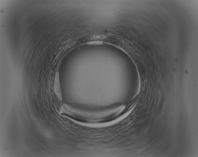 X0000085271441200703091340