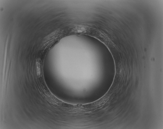 X0000085271442200703091340