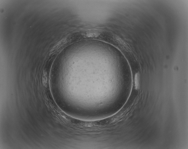 X0000085271443200703091340