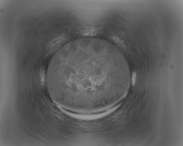 X0000085271444200703091340