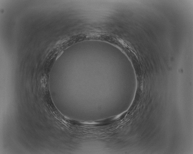 X0000085271445200703091340