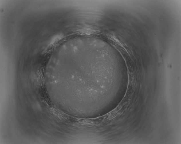 X0000085271446200703091340