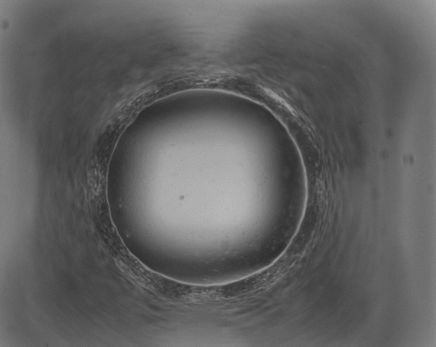 X0000085271447200703091340