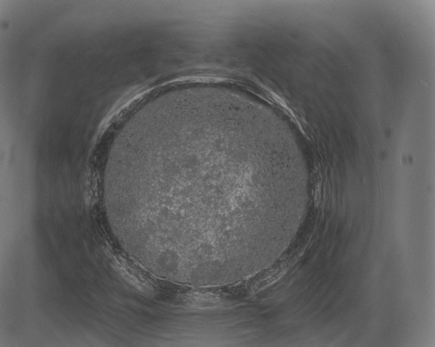 X0000085271448200703091340