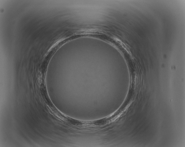 X0000085271449200703091340