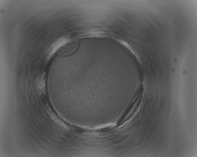 X0000085271450200703091340