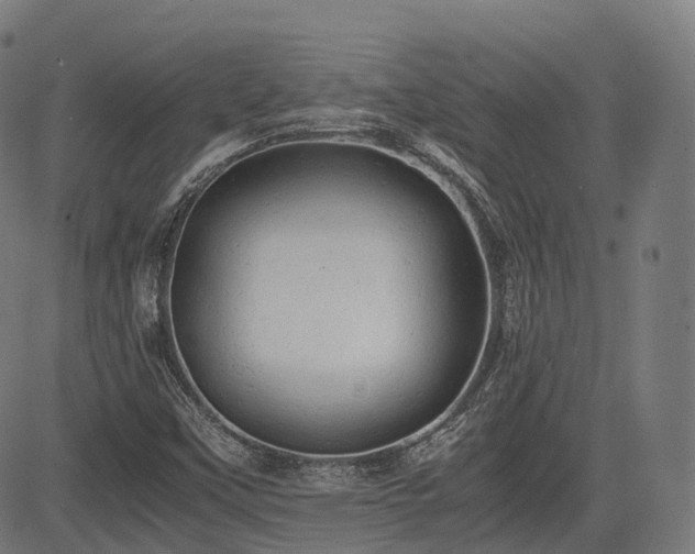 X0000085271451200703091340