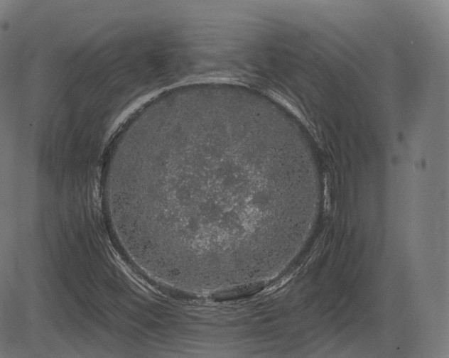 X0000085271452200703091340