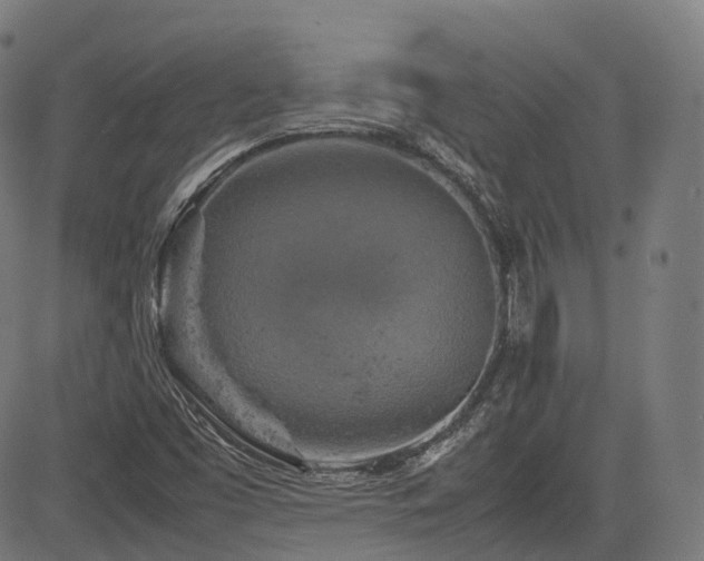 X0000085271453200703091340