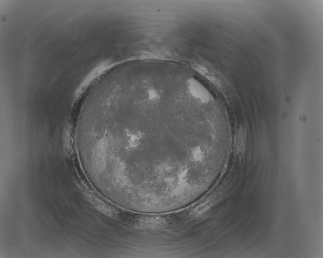 X0000085271454200703091340