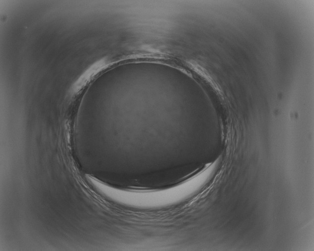 X0000085271455200703091340