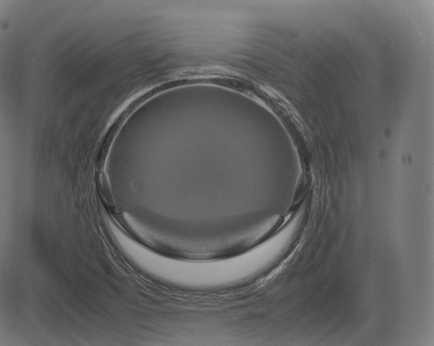 X0000085271457200703091339