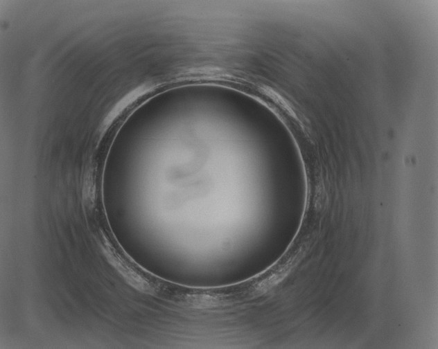 X0000085271458200703091339