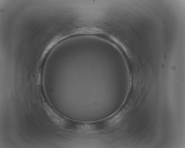 X0000085271459200703091339