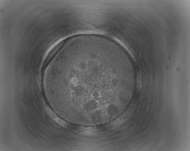 X0000085271460200703091339