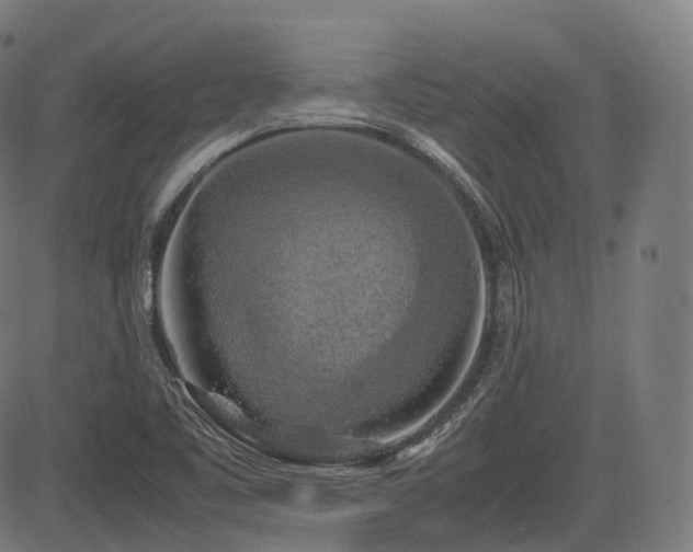 X0000085271461200703091339