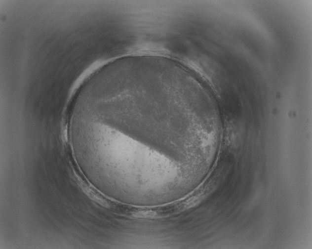 X0000085271462200703091339