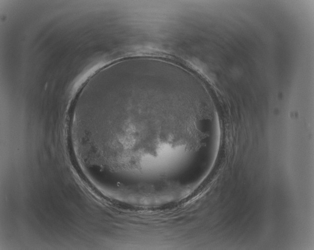 X0000085271463200703091339