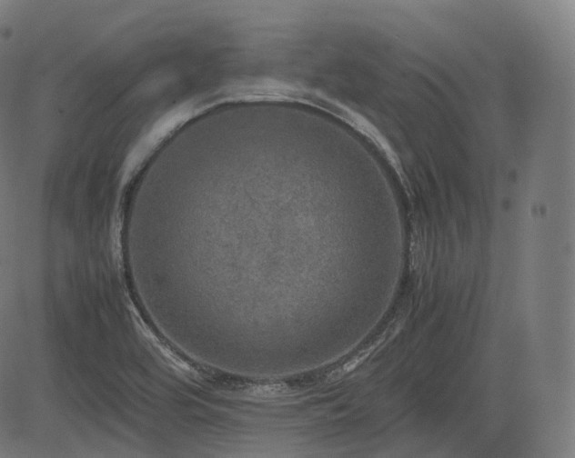 X0000085271464200703091339