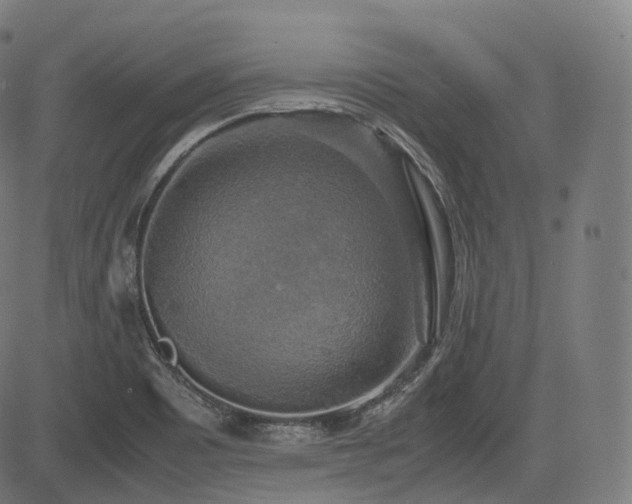 X0000085271465200703091339