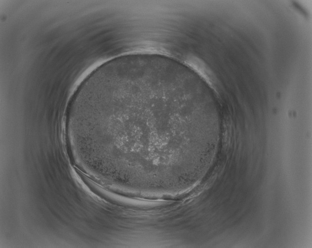 X0000085271468200703091339