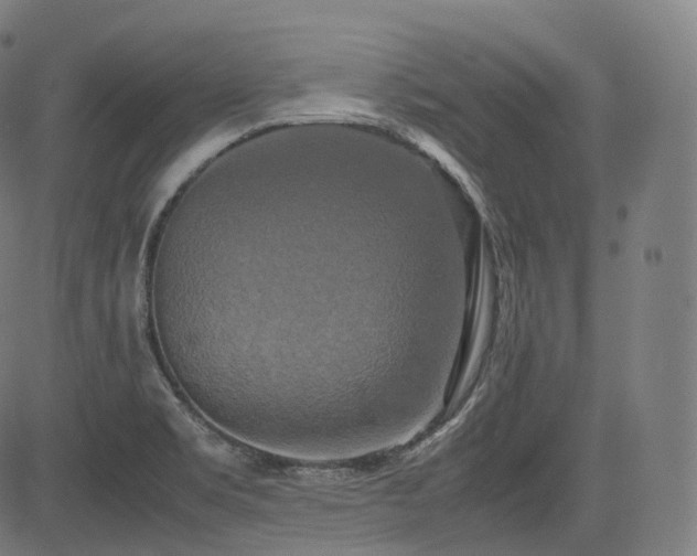 X0000085271469200703091339