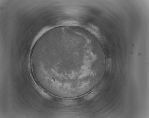 X0000085271470200703091339