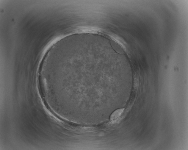 X0000085271471200703091339