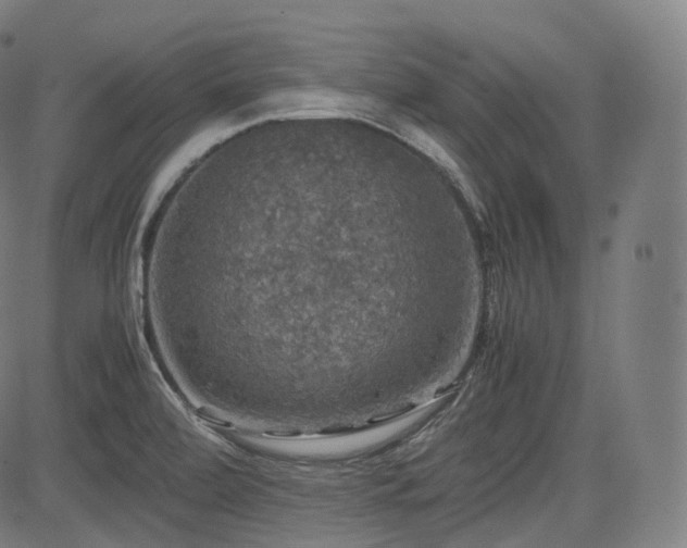 X0000085271472200703091339