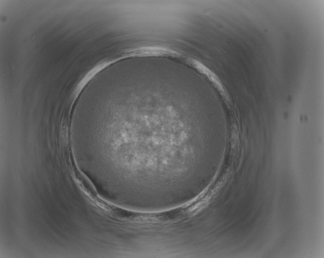 X0000085271473200703091339