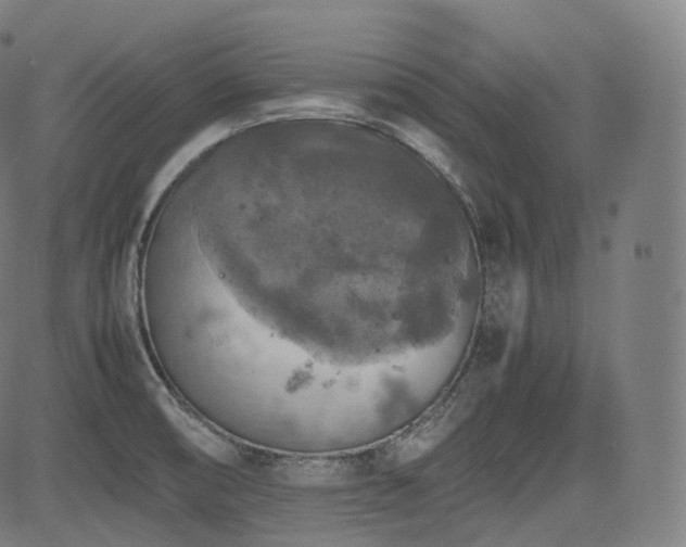 X0000085271474200703091339