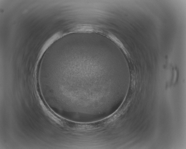 X0000085271475200703091339